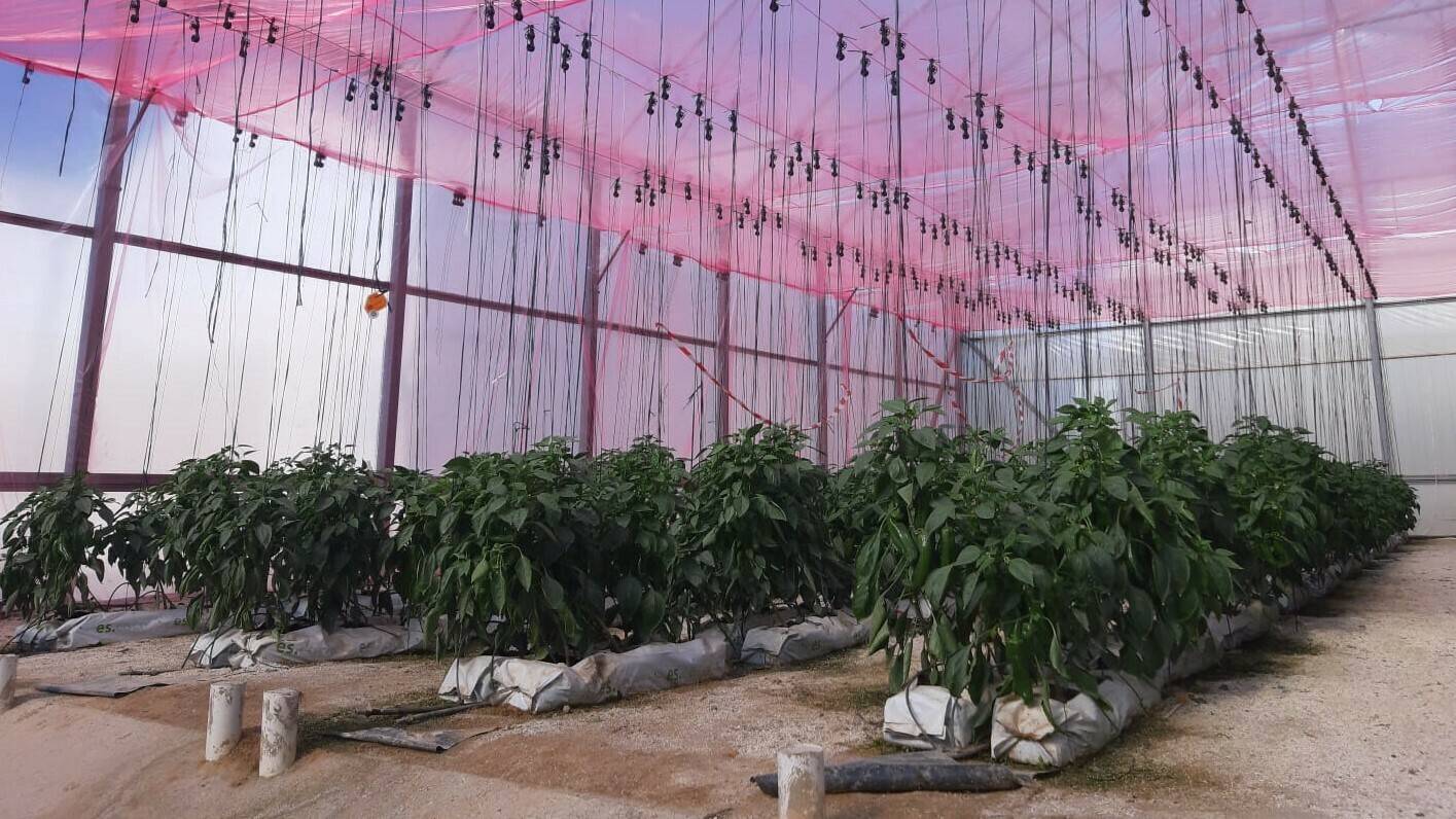 cascade-tecnova-almeria|cascade-tecnova-almeria|cascade-tecnova-almeria